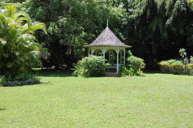 Inn At Shaw Park Gardens & Waterfalls Ocho Rios Dış mekan fotoğraf