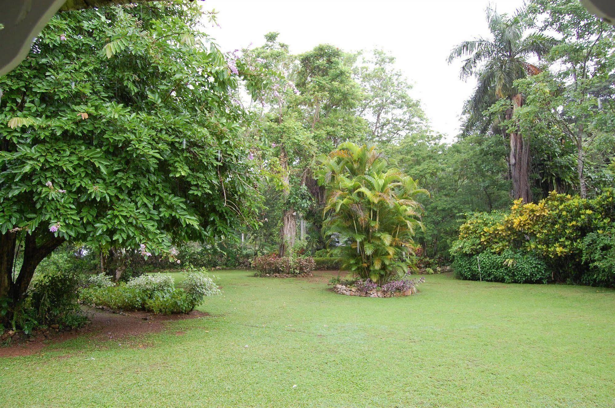 Inn At Shaw Park Gardens & Waterfalls Ocho Rios Dış mekan fotoğraf