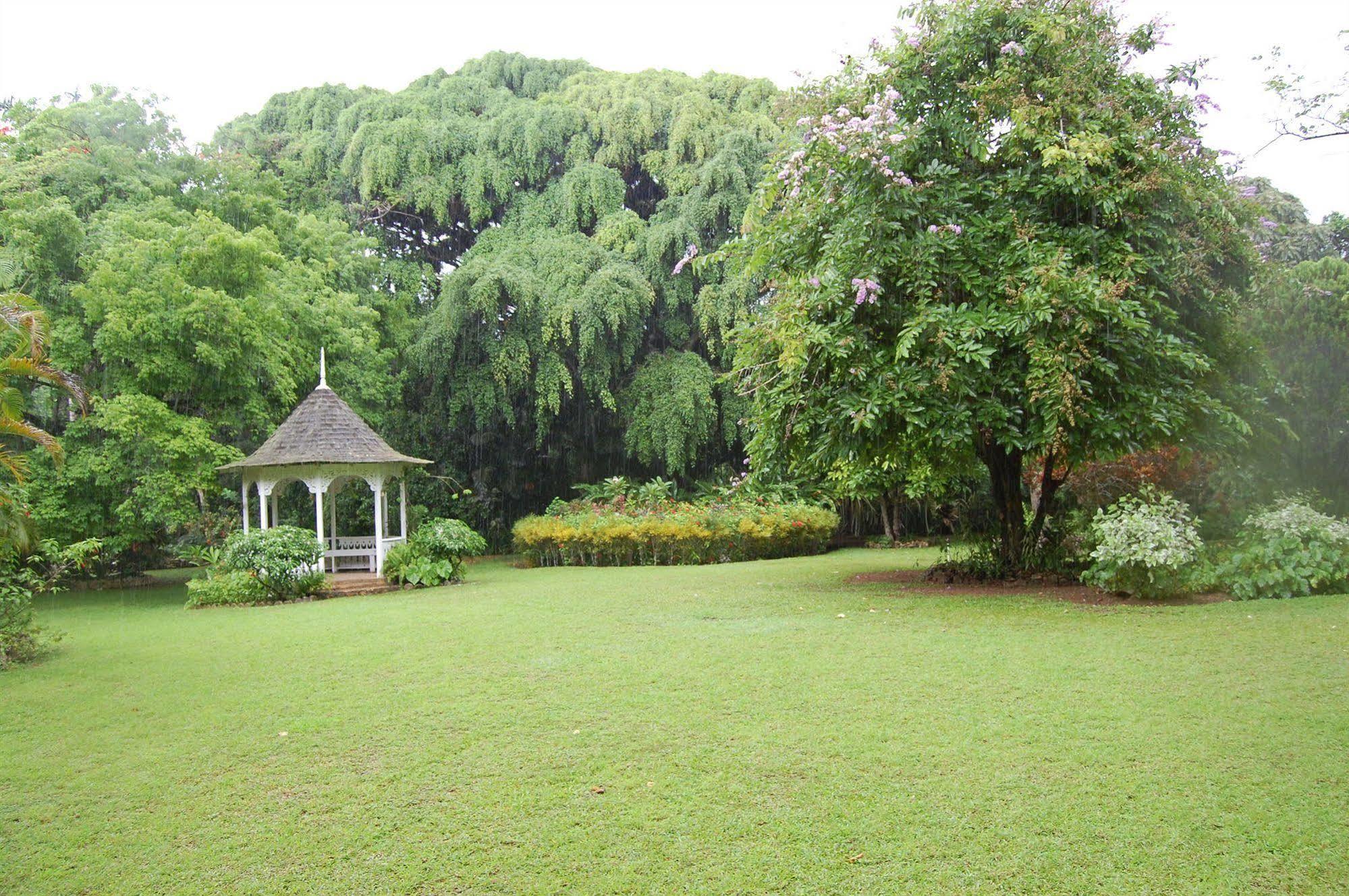 Inn At Shaw Park Gardens & Waterfalls Ocho Rios Dış mekan fotoğraf
