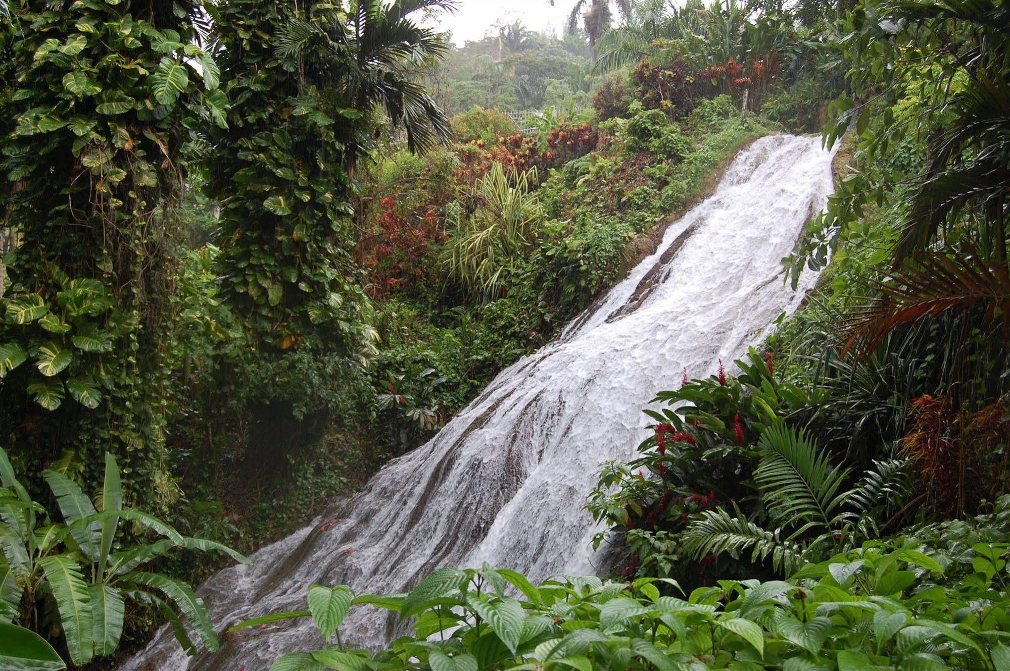 Inn At Shaw Park Gardens & Waterfalls Ocho Rios Dış mekan fotoğraf